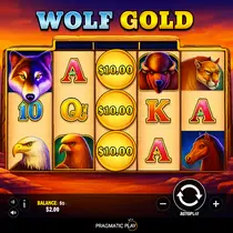 Betizy - Wolf Gold Slot Game - Progressive Jackpots